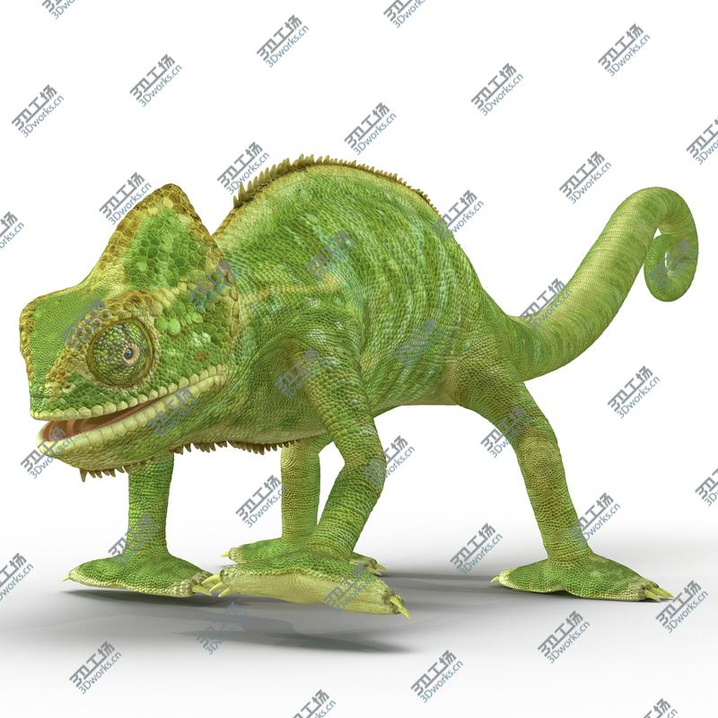 images/goods_img/2021040162/Chameleon Rigged for Maya/5.jpg